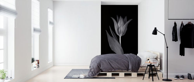 PHOTOWALL / Single Tulip (e326249)