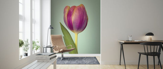 PHOTOWALL / Single Tulip (e326250)