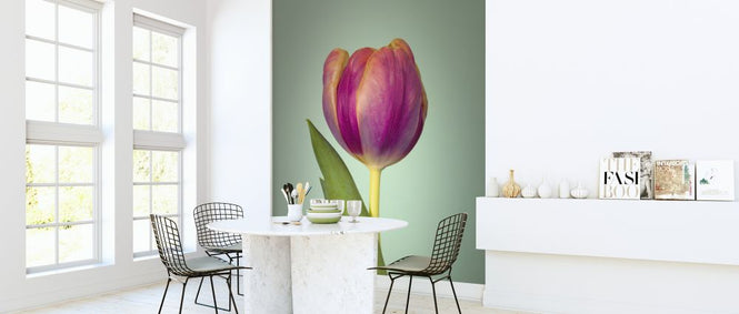 PHOTOWALL / Single Tulip (e326250)