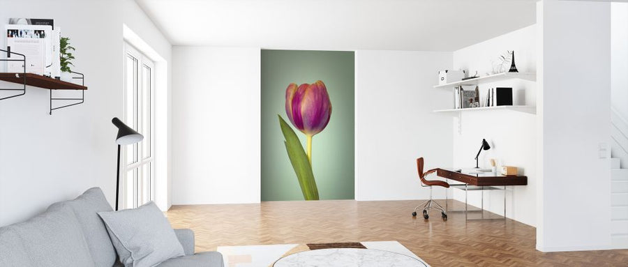 PHOTOWALL / Single Tulip (e326250)