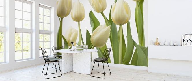PHOTOWALL / Tulips (e326260)