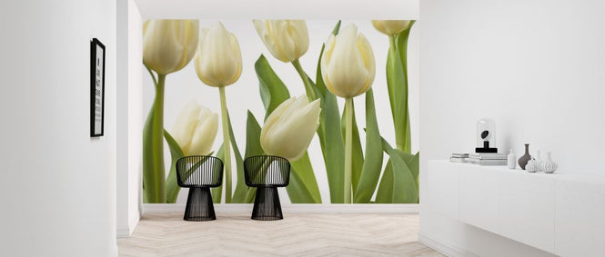 PHOTOWALL / Tulips (e326260)