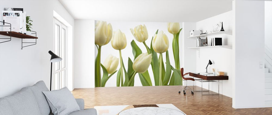 PHOTOWALL / Tulips (e326260)