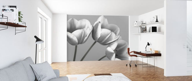 PHOTOWALL / Tulips (e326262)