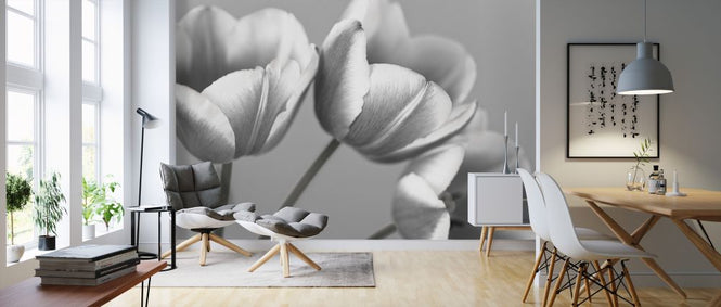 PHOTOWALL / Tulips (e326262)