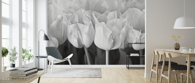 PHOTOWALL / Tulips (e326261)
