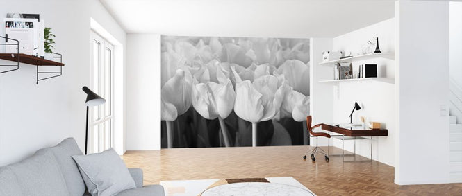 PHOTOWALL / Tulips (e326261)