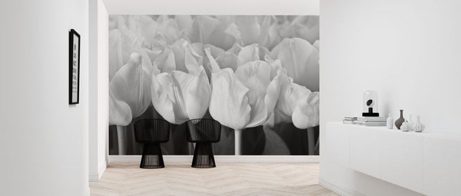 PHOTOWALL / Tulips (e326261)