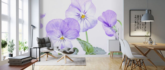 PHOTOWALL / Violets (e326271)