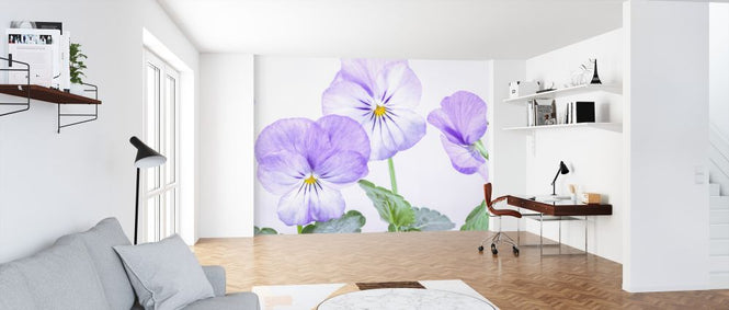 PHOTOWALL / Violets (e326271)