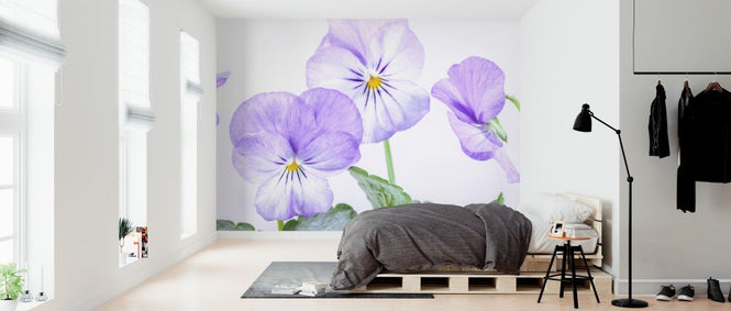 PHOTOWALL / Violets (e326271)