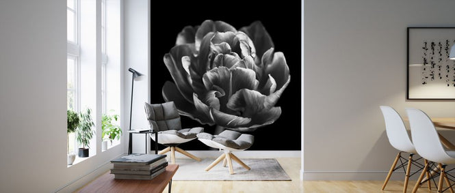 PHOTOWALL / Tulips (e326274)