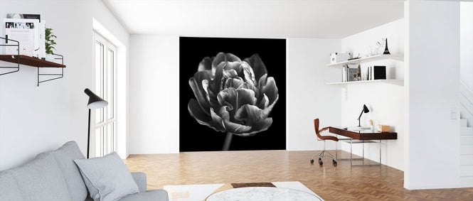 PHOTOWALL / Tulips (e326274)
