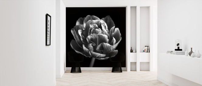 PHOTOWALL / Tulips (e326274)