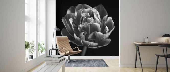 PHOTOWALL / Tulips (e326274)