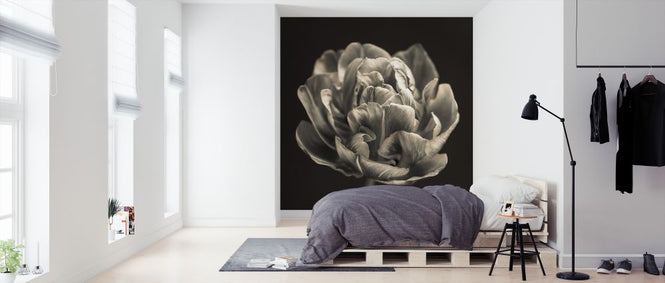 PHOTOWALL / Tulips (e326275)