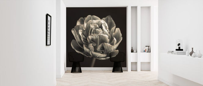 PHOTOWALL / Tulips (e326275)