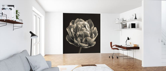PHOTOWALL / Tulips (e326275)