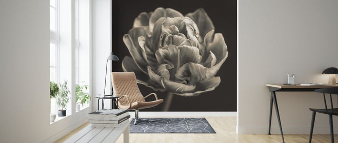 PHOTOWALL / Tulips (e326275)