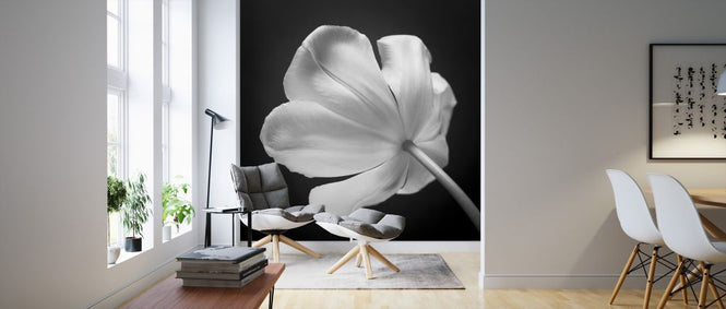PHOTOWALL / Tulips (e326278)