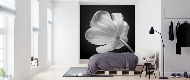 PHOTOWALL / Tulips (e326278)