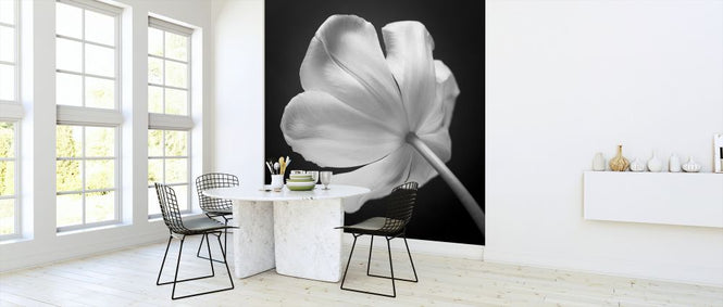 PHOTOWALL / Tulips (e326278)