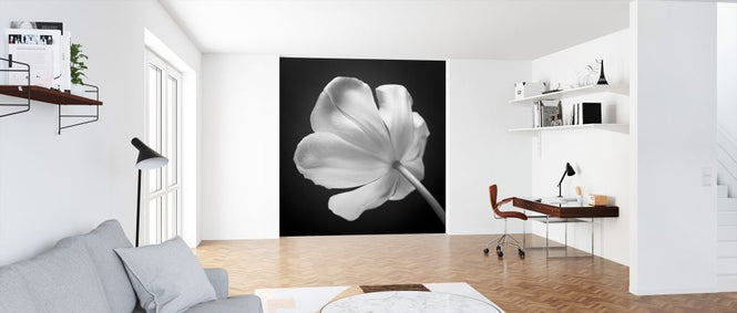 PHOTOWALL / Tulips (e326278)
