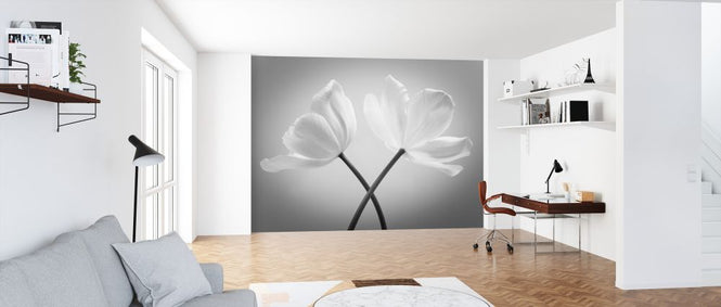 PHOTOWALL / Tulips (e326281)