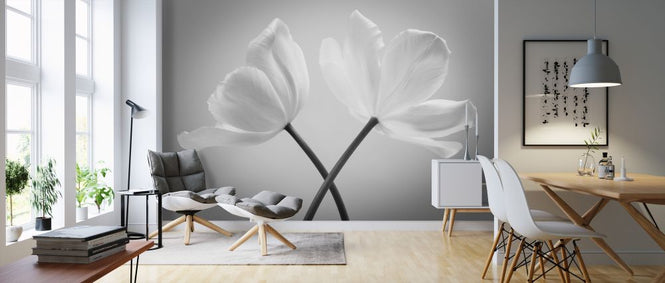 PHOTOWALL / Tulips (e326281)