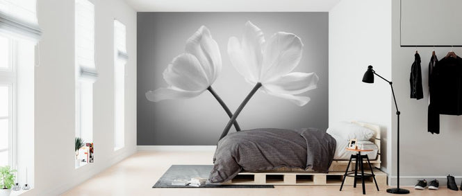 PHOTOWALL / Tulips (e326281)