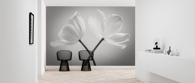 PHOTOWALL / Tulips (e326281)
