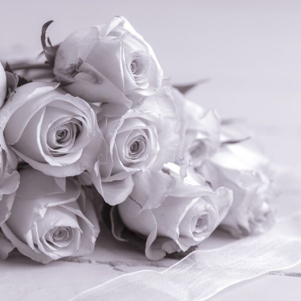 PHOTOWALL / Roses (e326282)