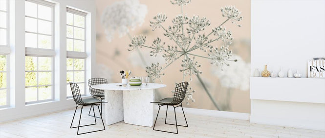 PHOTOWALL / Cow Parsley (e326283)