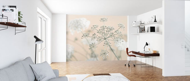 PHOTOWALL / Cow Parsley (e326283)