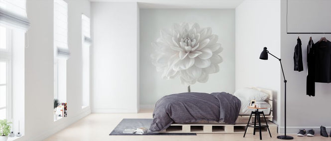 PHOTOWALL / Dahlias (e326285)