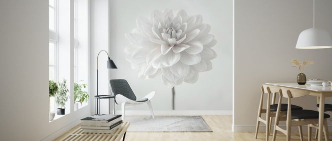 PHOTOWALL / Dahlias (e326285)