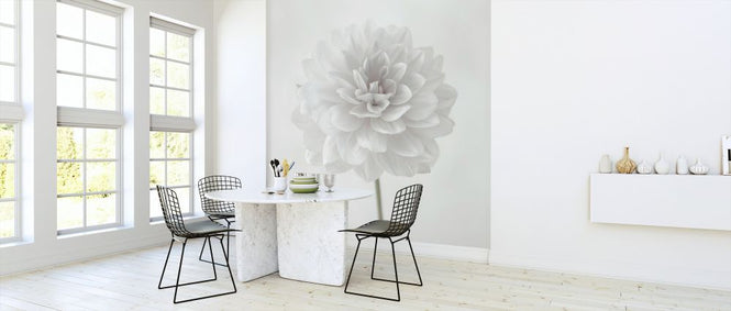 PHOTOWALL / Dahlias (e326286)