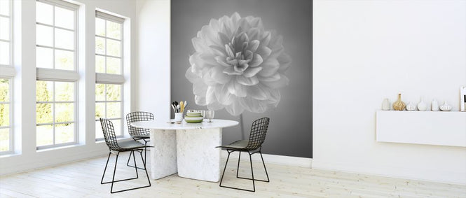PHOTOWALL / Dahlias (e326287)