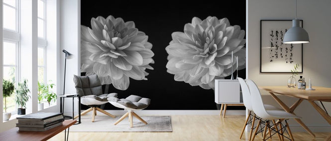 PHOTOWALL / Dahlias (e326288)