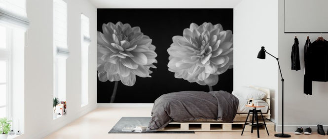 PHOTOWALL / Dahlias (e326288)