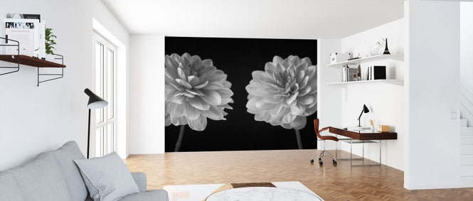 PHOTOWALL / Dahlias (e326288)