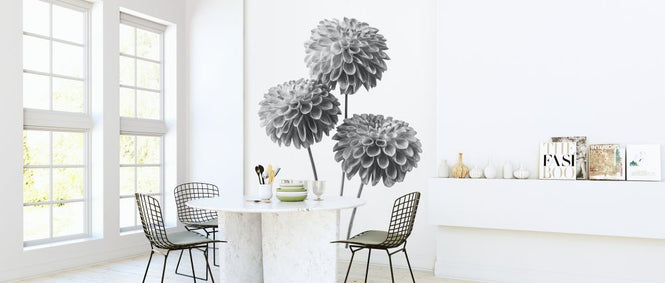 PHOTOWALL / Dahlias (e326289)
