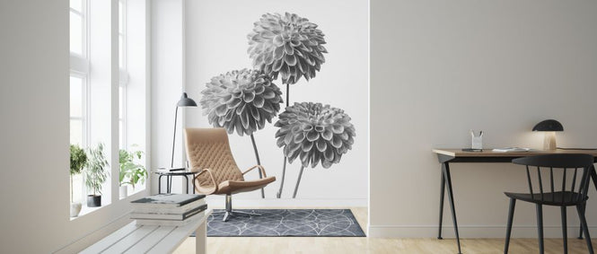 PHOTOWALL / Dahlias (e326289)