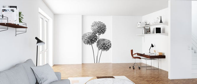 PHOTOWALL / Dahlias (e326289)