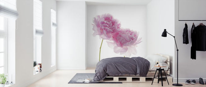 PHOTOWALL / Peonies (e326292)