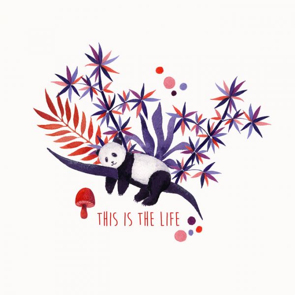 PHOTOWALL / This is Life (e325637)