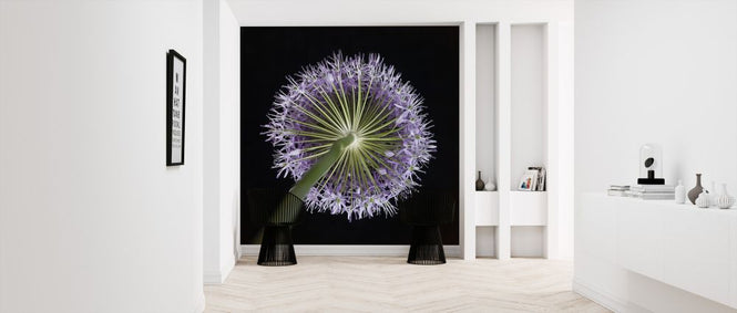 PHOTOWALL / Allium Flower (e326297)