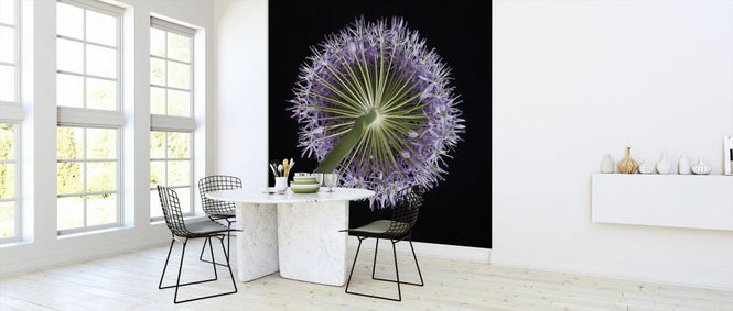 PHOTOWALL / Allium Flower (e326297)