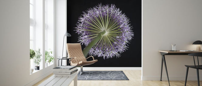 PHOTOWALL / Allium Flower (e326297)