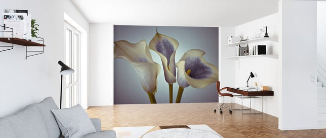 PHOTOWALL / Calla Lily (e326301)